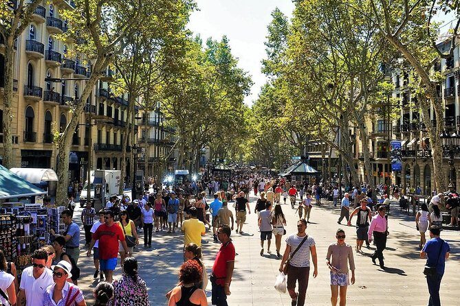 Private Barcelona and Park Güell Tour with hotel Pick-up - The Sum Up