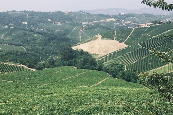 Private Barolo Wine Tour with Winemaker from Turin - Authenticity and Expert Guidance Make All the Difference