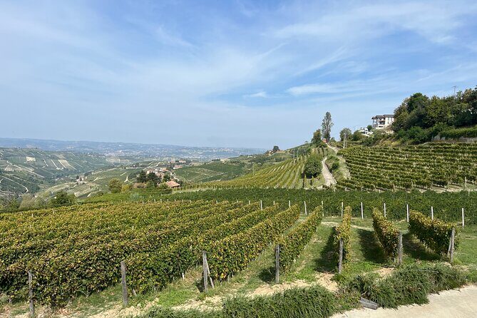 Private Barolo Wine Tour with Winemaker from Turin - FAQs