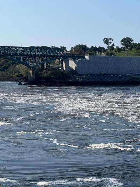 Private Bay of Fundy and City Highlights Tour up to 7 - The Experience: What We Think You’ll Love