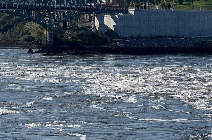 Private Bay of Fundy & City sightseeing (Saint John, NB) - Final thoughts on value and who it’s for