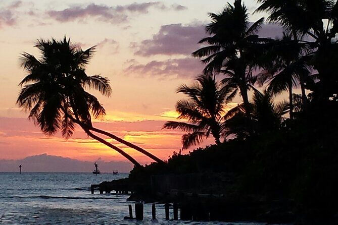 Private Beach or Sunset Boat Tour In Naples Florida - Why Choose This Tour?