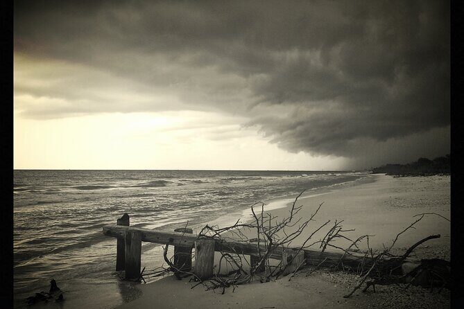 Private Beach or Sunset Boat Tour In Naples Florida - The Sum Up