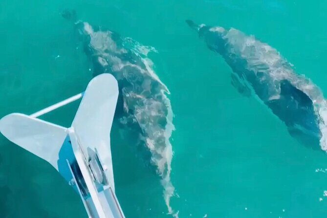 Private Beach Tour on a Luxury Sailing Boat in Lisbon - Final Thoughts