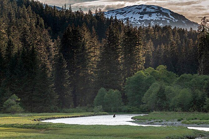 Private Bear Viewing By Seaplane - Authenticity and Reviews: What Travelers Say