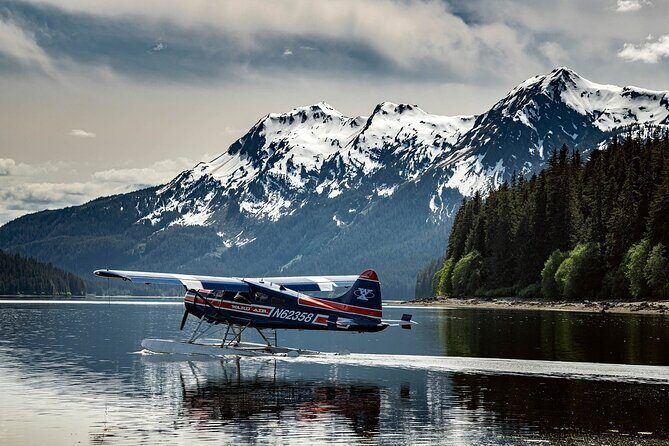 Private Bear Viewing By Seaplane - Final Thoughts: Who Is This Tour Perfect For?