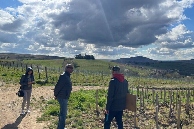 Private Beaujolais wine tour - The Sum Up