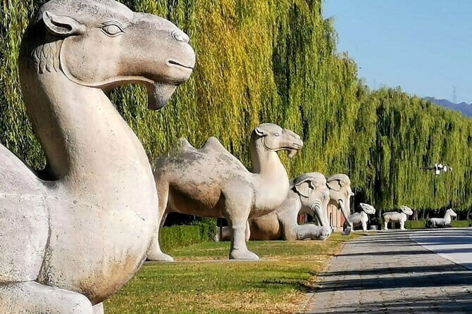 Private Beijing Night Tour - Who should consider this tour?