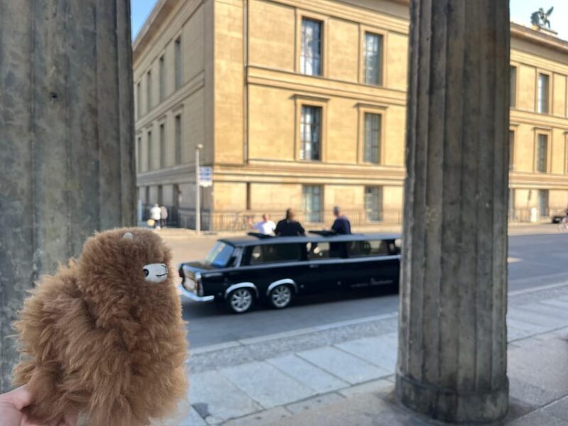 Private Berlin City Tour 3-4 hours - Transportation and Accessibility