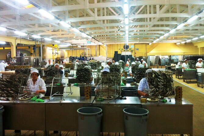 Private Best Fish Experience From Porto - Practical Tips for Travelers