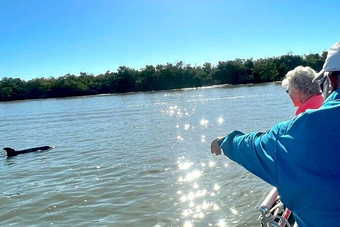 Private Best of Marco Island Dolphin Tour - An In-Depth Look at the Tour Experience