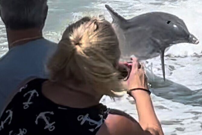 Private Best of Marco Island Dolphin Tour - Who Will Love This Tour