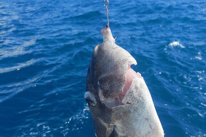 Private Big Game Fishing Tour in Raiatea - The Sum Up