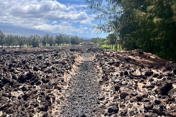 Private Big Island: History & Local Market Tour (Up to 12) - An In-Depth Look at the Itinerary