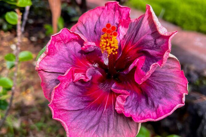 Private Big Island: History & Local Market Tour (Up to 12) - Who Will Get the Most Out of This Experience?