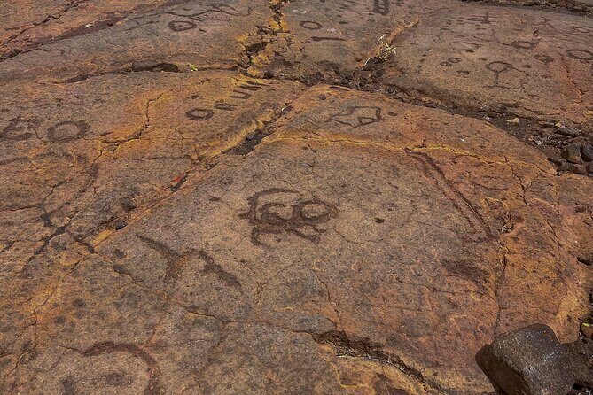 Private Big Island: History & Local Market Tour (Up to 12) - Frequently Asked Questions