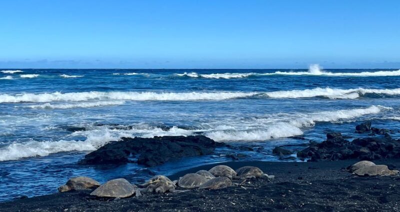 Private Big Island Tour:Coffee, Beaches,Volcanos & Waterfall - Discovering the Big Island: What to Expect from this Private Tour
