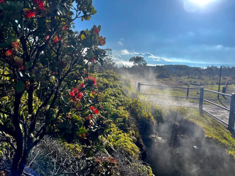 Private Big Island Tour:Coffee, Beaches,Volcanos & Waterfall - The Sum Up