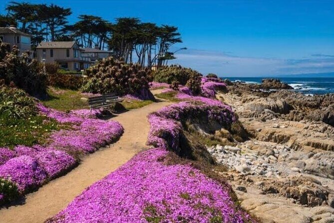 Private Big Sur and Carmel Scenic Drive from San Jose - Key Points