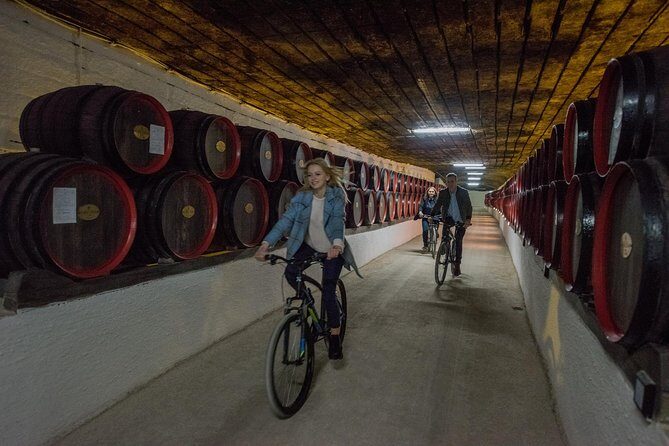 Private Bike Tour to Cricova Winery with wine tasting and lunch - What’s Included and What to Expect