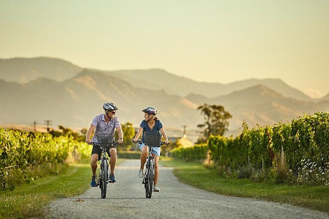 Private Biking Wine Tour (full day) in the Marlborough Region - An In-Depth Look at the Marlborough Biking Wine Tour