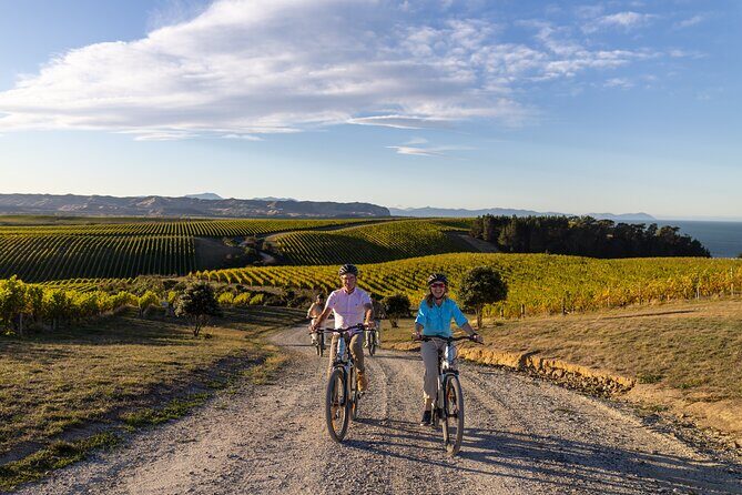 Private Biking Wine Tour (full day) in the Marlborough Region - Practical Tips for Participants