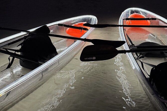 Private Bioluminescence Tour by clear Kayak in Holbox - Key Points