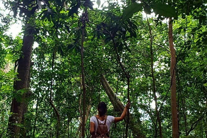 Private Bird watching and Nature trekking in Udawatta Kele Sanctuary - Key Points