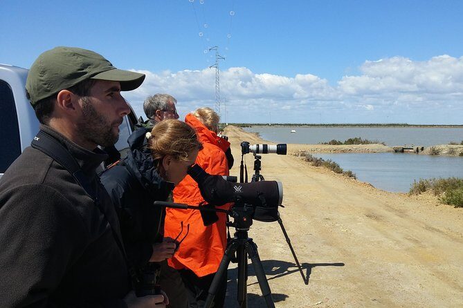 Private Birding & Photography Day Trip to Doñana - Final thoughts