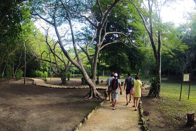 Private Birdwatching Tour in Sian Ka'an Muyil - An In-Depth Look at the Tour