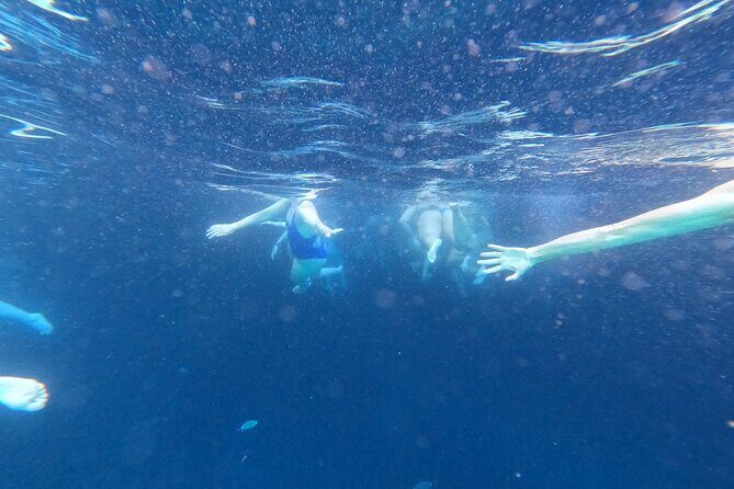 Private Blue Cave and Elaphiti Islands Half Day Tour - Who Should Consider This Tour?