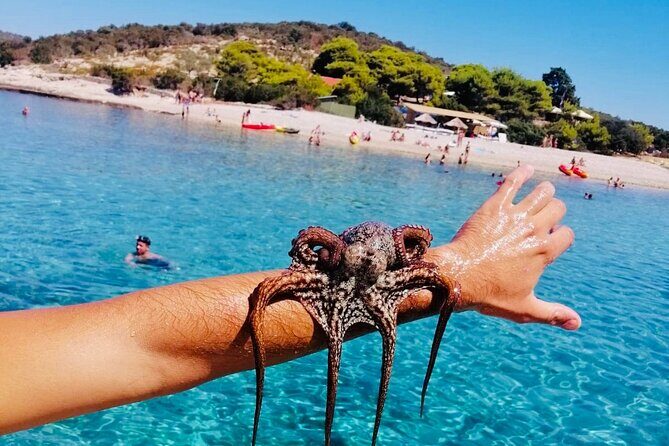 Private Blue Cave Tour from Split, Bra, Trogir and Hvar - An In-Depth Look at the Tour