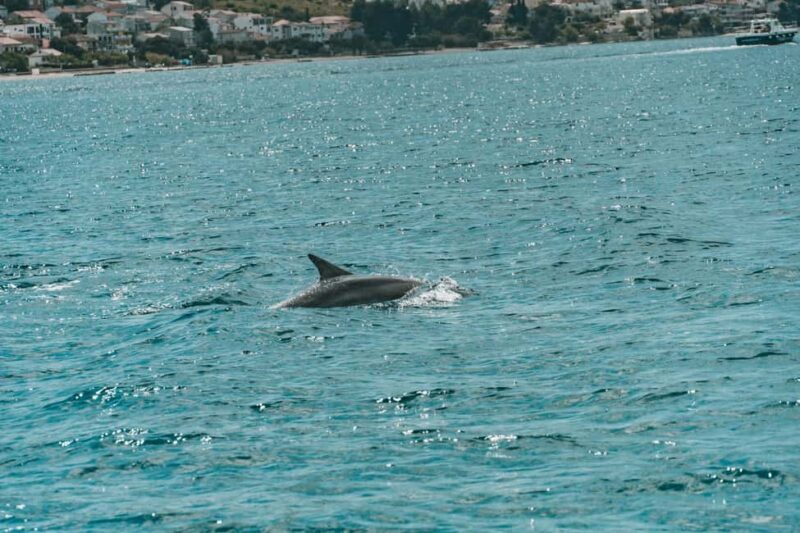 Private Blue Lagoon & Trogir, 3 Island Half-day Tour - FAQ