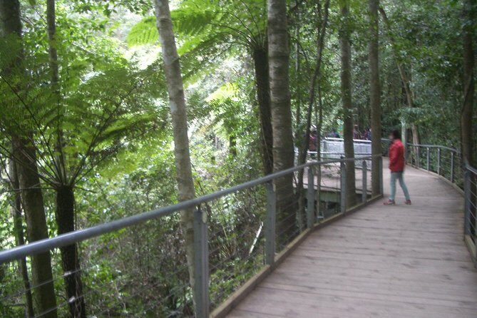 PRIVATE Blue Mountains day tour with local guide. - The Cost and Its Value