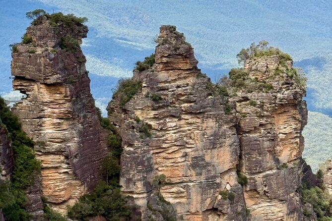 PRIVATE Blue Mountains tour & Koalas, Kangaroos, Cruise plus more - The Experience from the Reviews