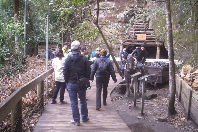 PRIVATE Blue Mountains Tour with Expert Guide - The Sum Up