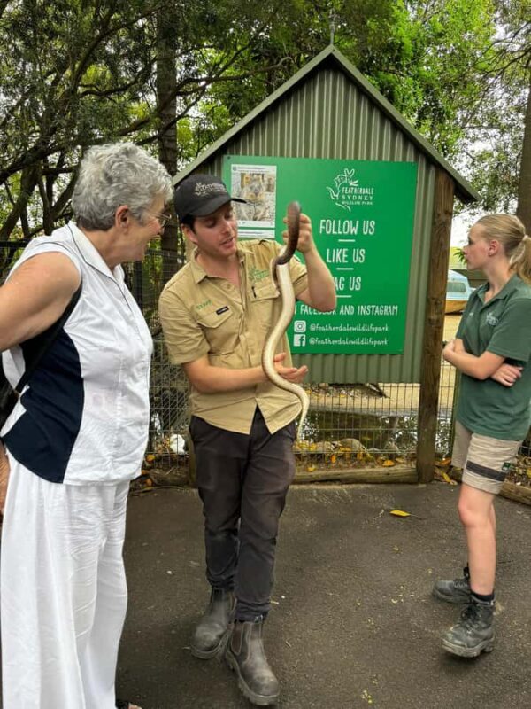 Private BlueMountains, ScenicWorld & AustralianWildlife Tour - Why This Tour Is Worth Considering