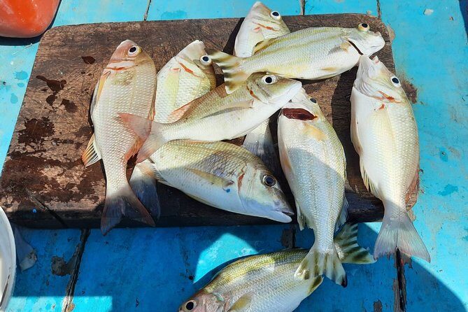 Private Boat Big Game Fishing Day Trip From Koh Samui - Practical Tips & Considerations