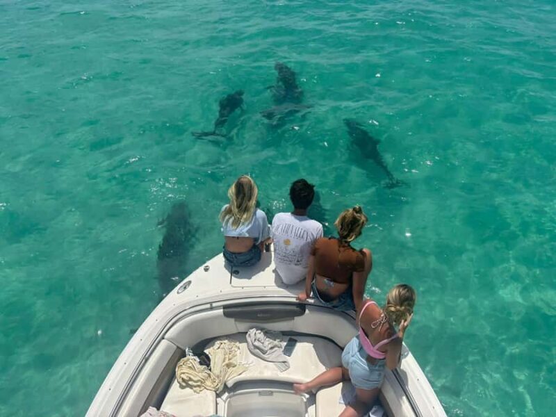 Private boat Charter Key West | Sandbar, Dolphin, Snorkeling - FAQs