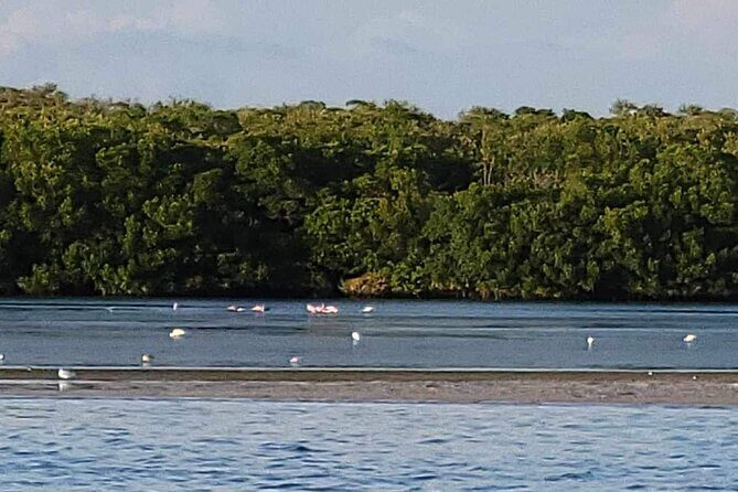 Private Boat Charter to Johns Pass, Shell Key and Egmont Key - FAQ
