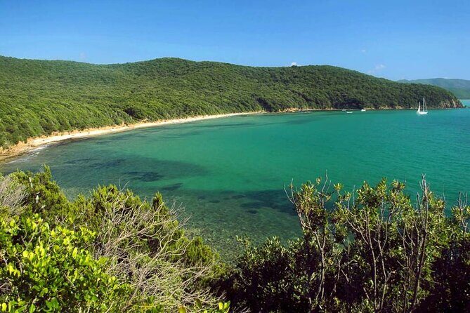 Private Boat Excursion with Lunch or Aperitif to the Calette di Scarlino - Who Will Love This Tour?