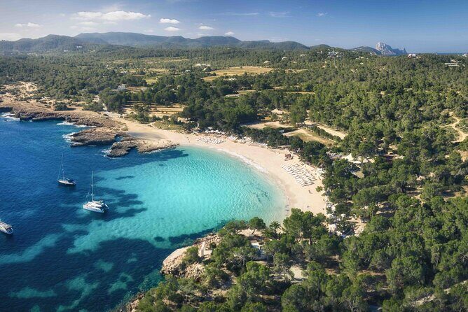 Private Boat Experience in Ibiza - Authentic Guest Insights