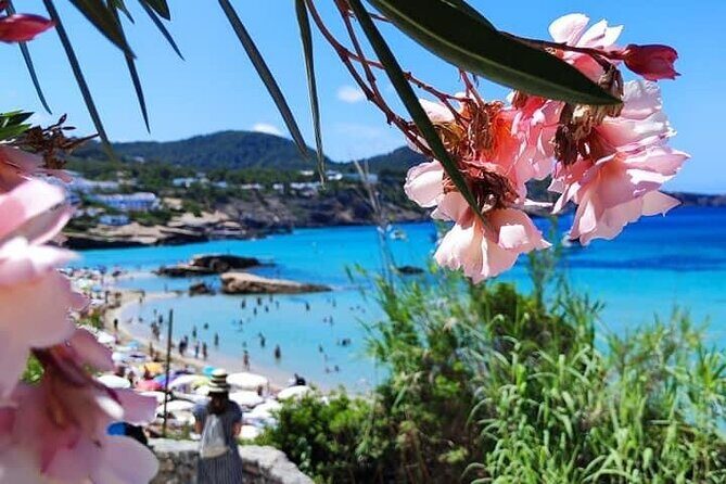 Private Boat Experience in Ibiza - The Sum Up: Who Will Love This Tour?