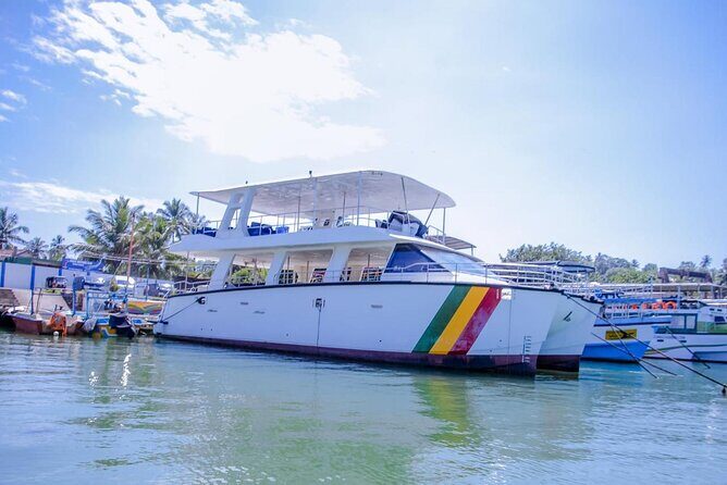 Private Boat Rental in the Mirissa Sea, Sri Lanka - The Practicalities: What You Need to Know