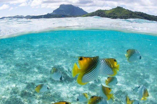 Private Boat Rental on Cap Camarat 25ft - Final Thoughts