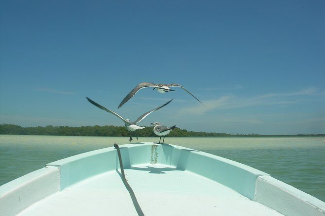 Private Boat to visit Holbox surroundings (3-Island Tour) - Final Thoughts