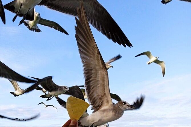 Private boat tour (3 islands tour) - Who Will Love This Tour?