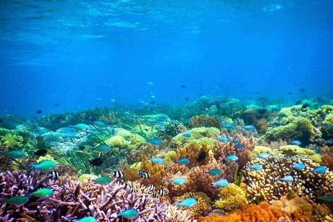 Private Boat Tour at Gili Nanggu, 'Secret Islands' - FAQs