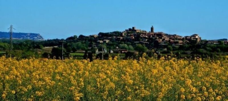 Private Boat Tour, Costa Brava, & Medieval Villages - Key Points