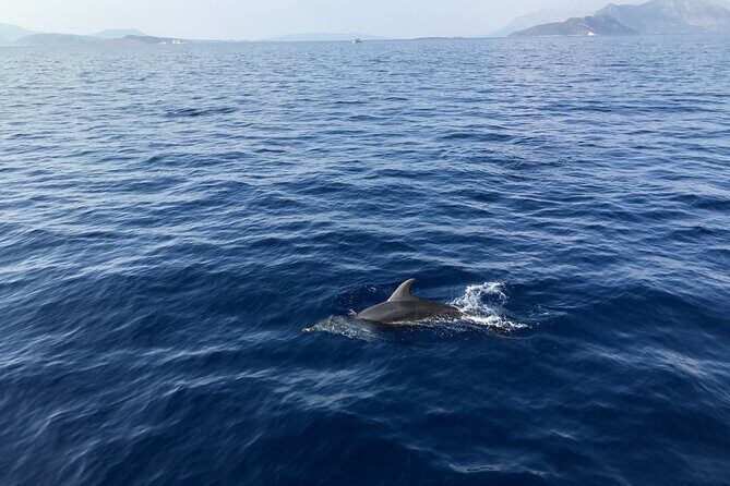 Private Boat Tour from La Spezia to Portovenere and Palmaria Islands Tino Tinetto - Who Would Love This Tour?